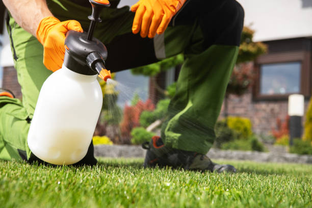 Best Local Pest Control Services  in Amelia Court House, VA