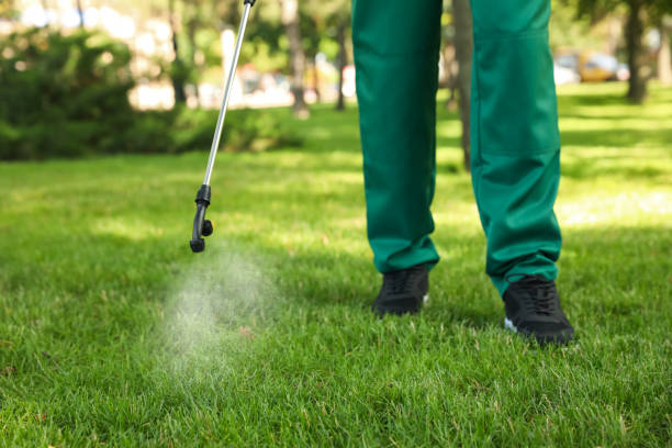 Best Residential Pest Control  in Amelia Court House, VA