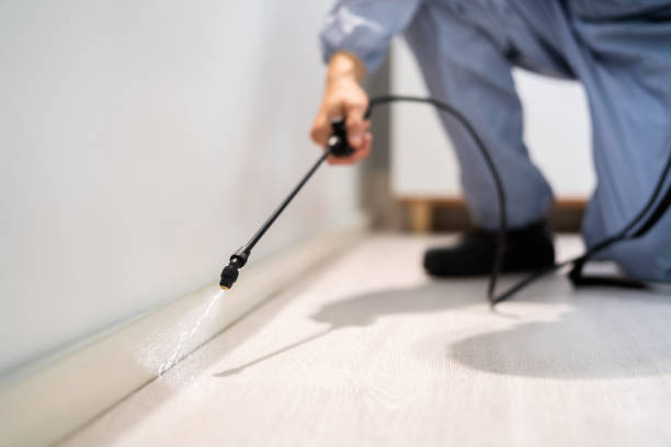 Best Pest Prevention Services  in Amelia Court House, VA