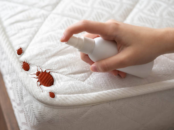 Best Commercial Pest Control Services  in Amelia Court House, VA